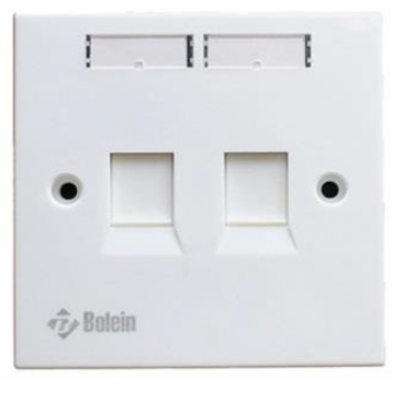 Double Faceplate with Cat6 RJ45 Jack and Cat3 RJ11 Jack