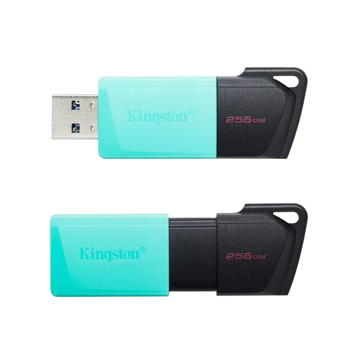 KINGSTON DataTraveler Exodia M USB Flash Drive