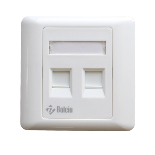 Bolein dual-port faceplate with two Cat6 RJ45 ethernet jacks, featuring dust shutters and ID labeling window.
